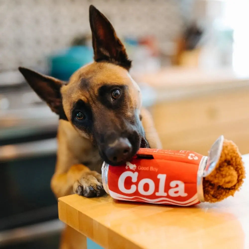 Cola Jetzt erhältlich bei  Dogsmopolitan