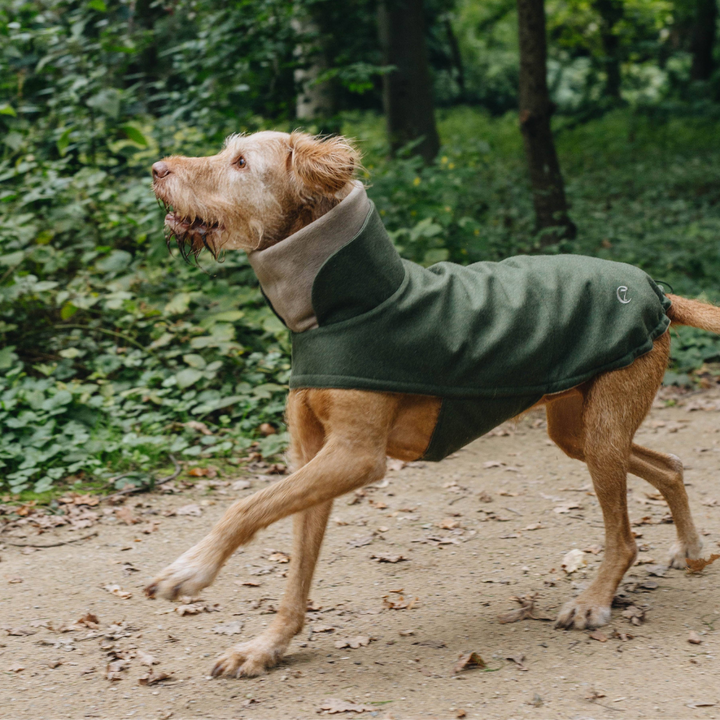 Hundemantel Brooklyn Flanell Fern Green Dackel Jetzt erhältlich bei  Dogsmopolitan