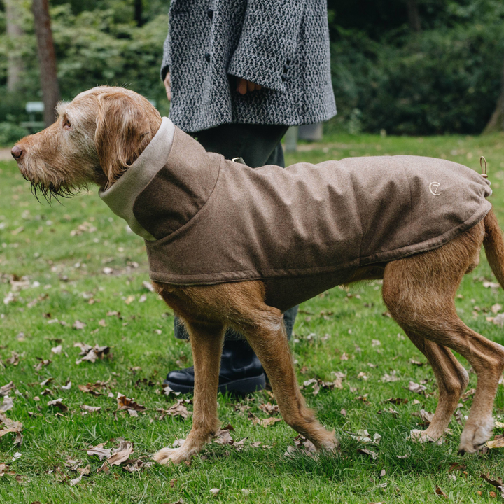 Hundemantel Brooklyn Flanell Hazel Bulldogge Jetzt erhältlich bei  Dogsmopolitan