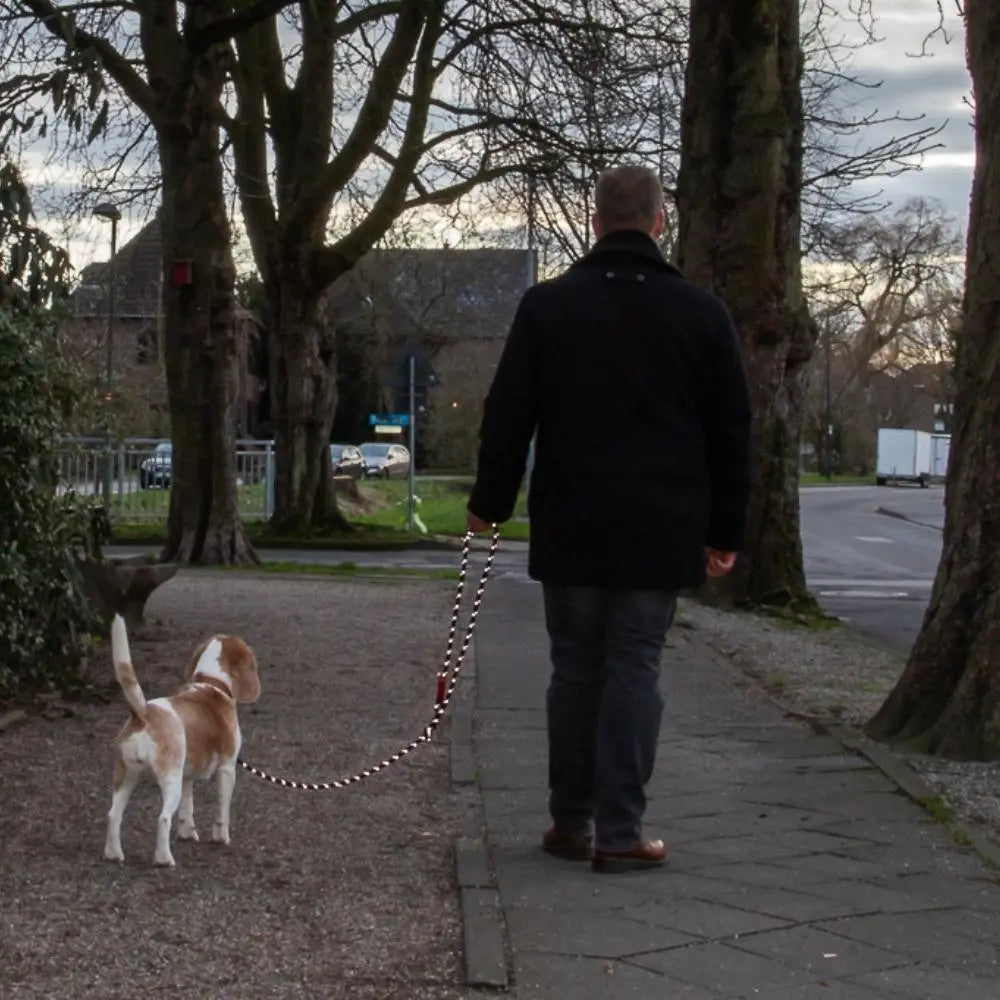 ZEELAND DOG Visibility Leine - reflektierend Jetzt erhältlich bei  Dogsmopolitan