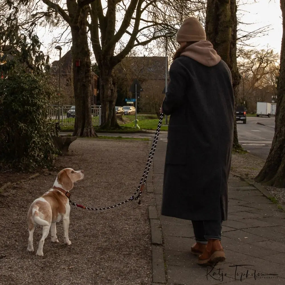 ZEELAND DOG Visibility Leine - reflektierend Jetzt erhältlich bei  Dogsmopolitan