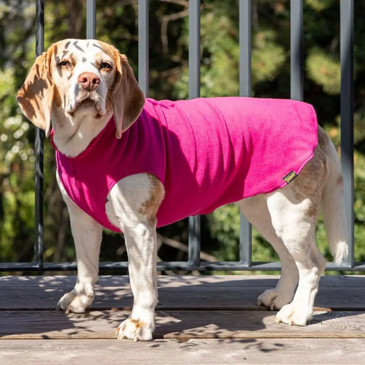 Kuschelweicher Fleece-Pullover Fuchsia/Orange Jetzt erhältlich bei  Dogsmopolitan