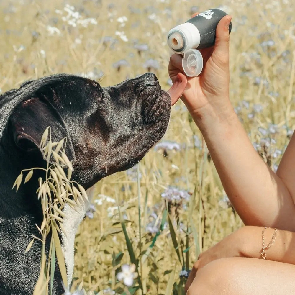 Mmh Schleck Schleck - Futtertube für Hunde zum Befüllen Jetzt erhältlich bei  Dogsmopolitan