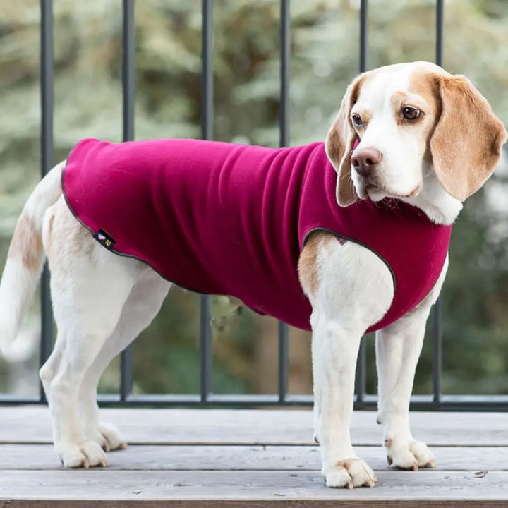 Kuschelweicher Fleece-Pullover Hunter Green/Garnet Jetzt erhältlich bei  Dogsmopolitan