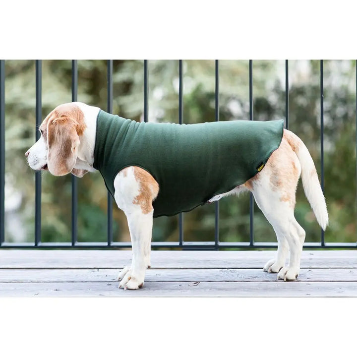 Kuschelweicher Fleece-Pullover Hunter Green/Garnet Jetzt erhältlich bei  Dogsmopolitan