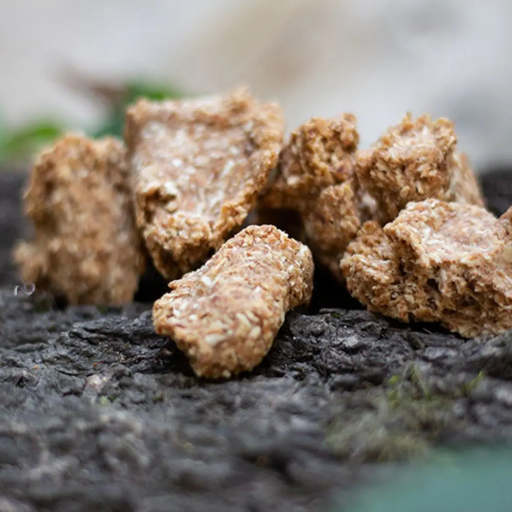 Kokos-Apfel-Mandel Traum Jetzt erhältlich bei  Dogsmopolitan