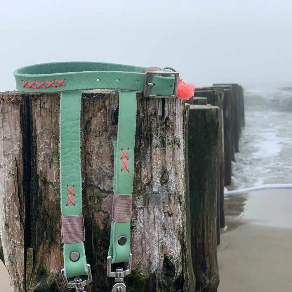 Zeeland Dog Leder Sea Green Jetzt erhältlich bei  Dogsmopolitan