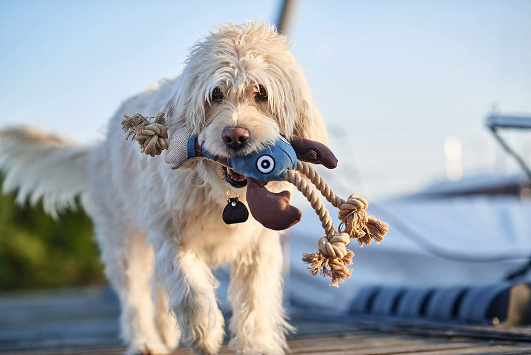 Hundespielzeug Knoten Hummer Sansibar