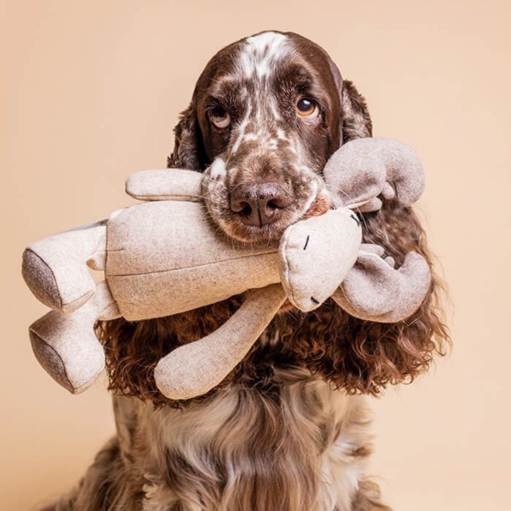 Marley Elch Jetzt erhältlich bei  Dogsmopolitan