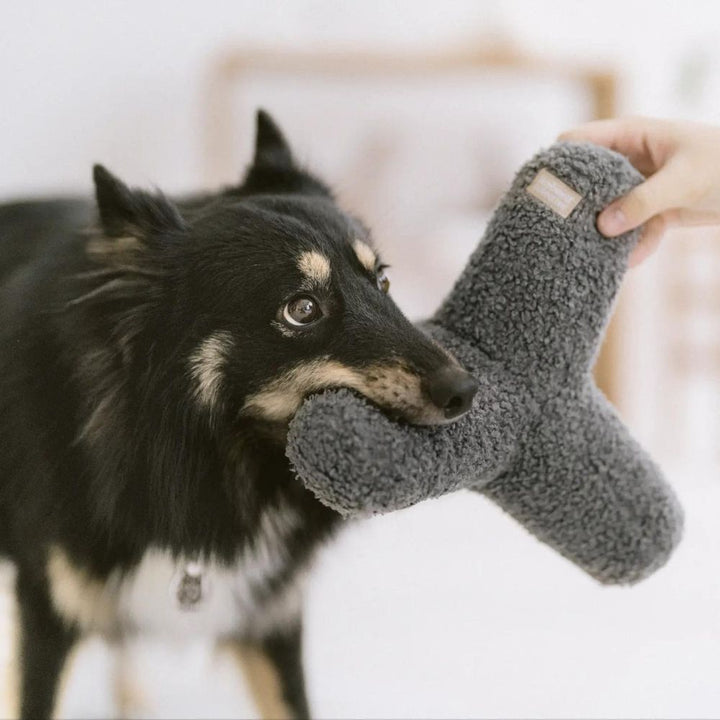 O Breuer - Vielseitiges Spielzeug Jetzt erhältlich bei  Dogsmopolitan