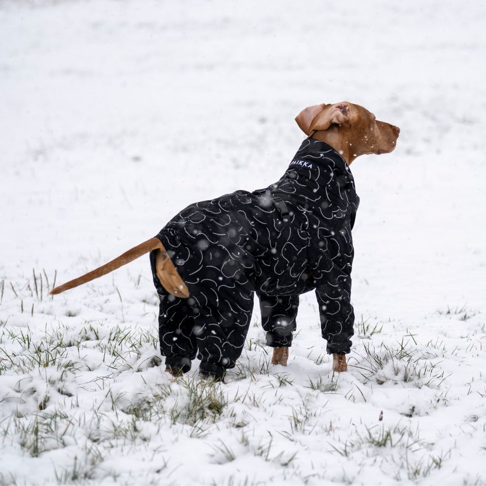 Wasserdichter Gefütterter Overall Jetzt erhältlich bei  Dogsmopolitan