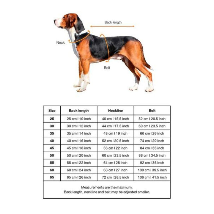 Hochreflektierende Hundewinterjacke Schwarz Jetzt erhältlich bei  Dogsmopolitan