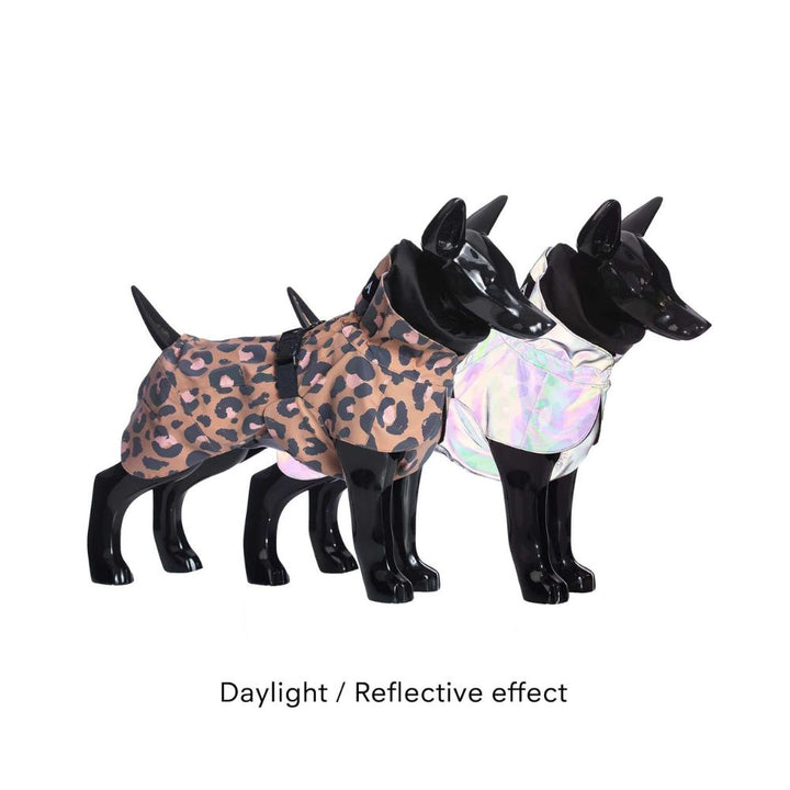 Hochreflektierender Hunderegenmantel Visibility / Leopard Jetzt erhältlich bei  Dogsmopolitan