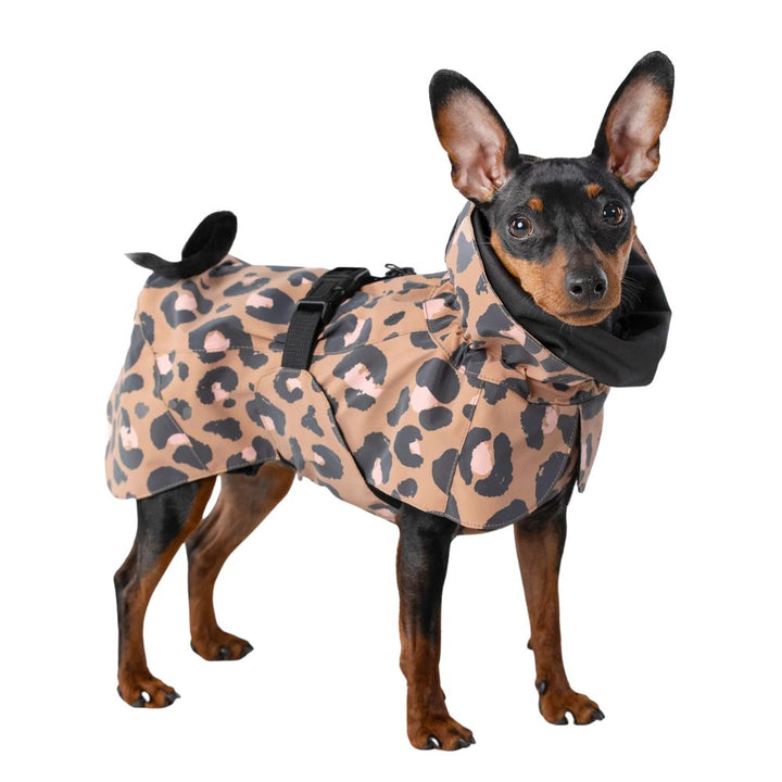 Hochreflektierender Hunderegenmantel Visibility / Leopard Jetzt erhältlich bei  Dogsmopolitan