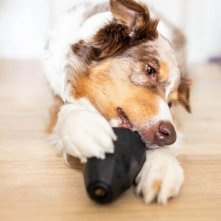 Schlecker-Ei Jetzt erhältlich bei  Dogsmopolitan