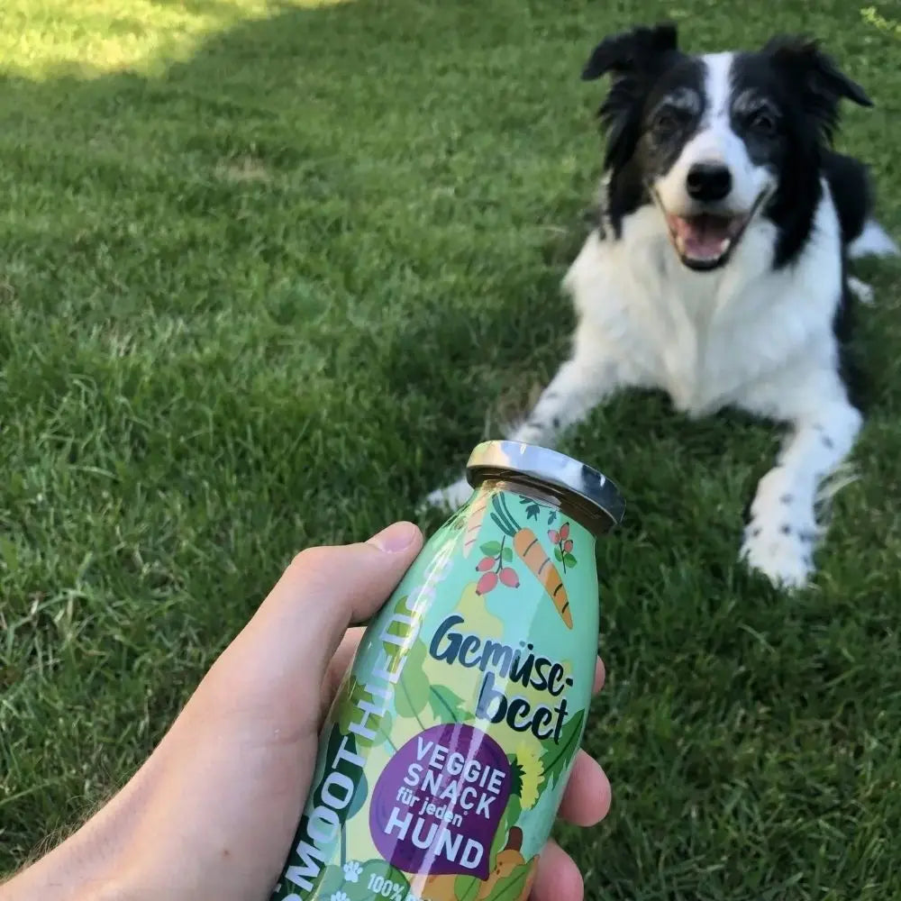 SmoothieDog Gemüsebeet Jetzt erhältlich bei  Dogsmopolitan