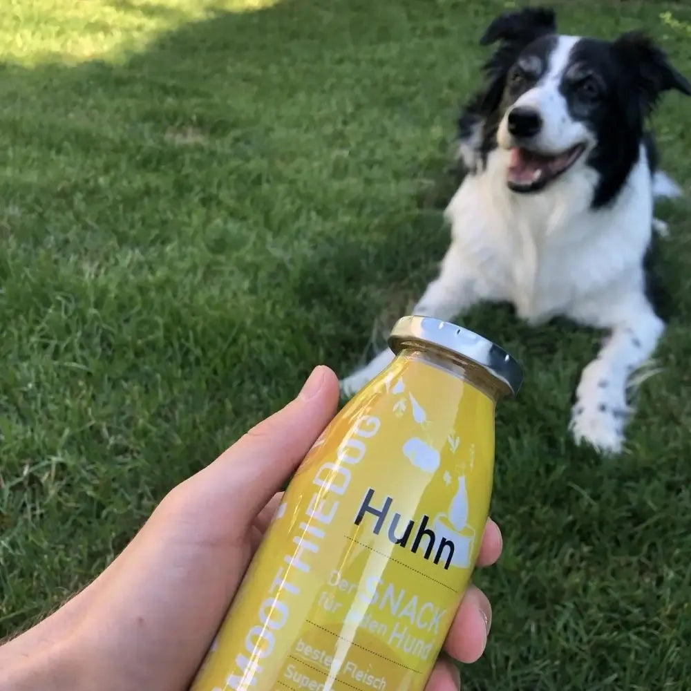 SmoothieDog Huhn Jetzt erhältlich bei  Dogsmopolitan