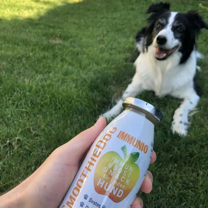 SmoothieDog Immunio Jetzt erhältlich bei  Dogsmopolitan