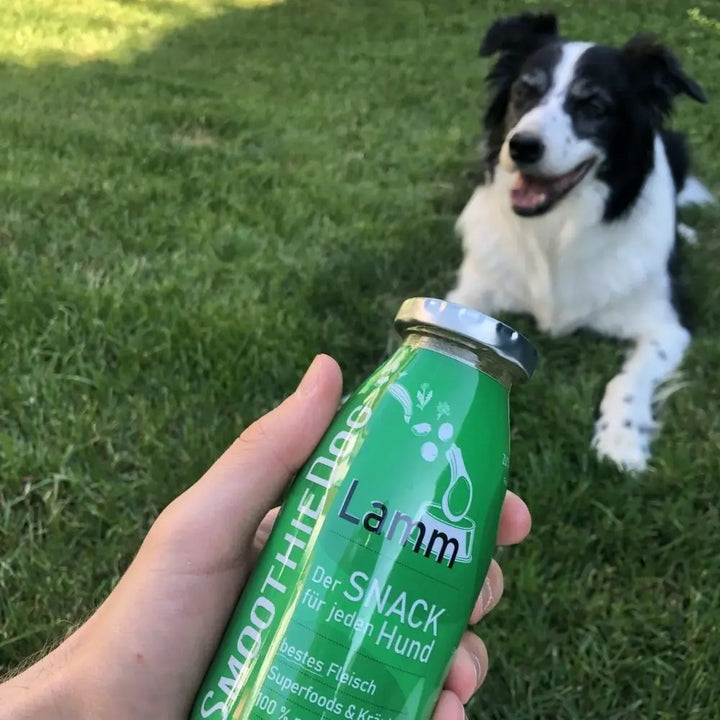 SmoothieDog Lamm Jetzt erhältlich bei  Dogsmopolitan