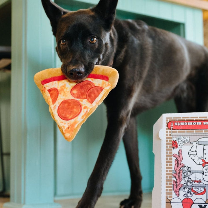 Stückchen Pizza