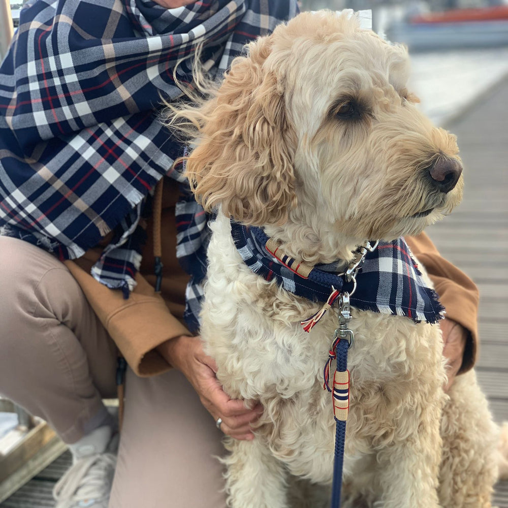 Halstuch De Haven - Mensch & Hund Jetzt erhältlich bei  Dogsmopolitan