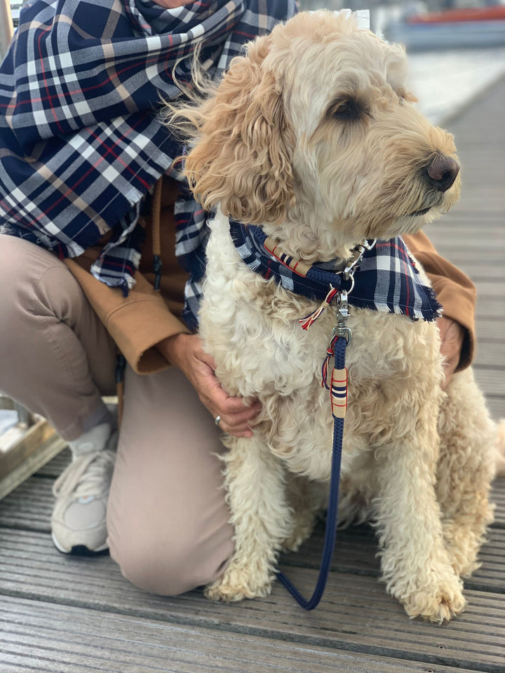 Halstuch De Haven - Mensch & Hund Jetzt erhältlich bei  Dogsmopolitan