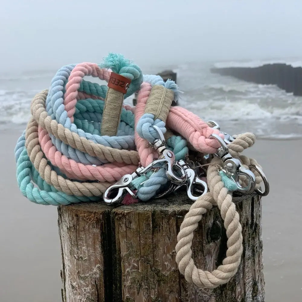 ZEELAND DOG COTTON SAND Jetzt erhältlich bei  Dogsmopolitan