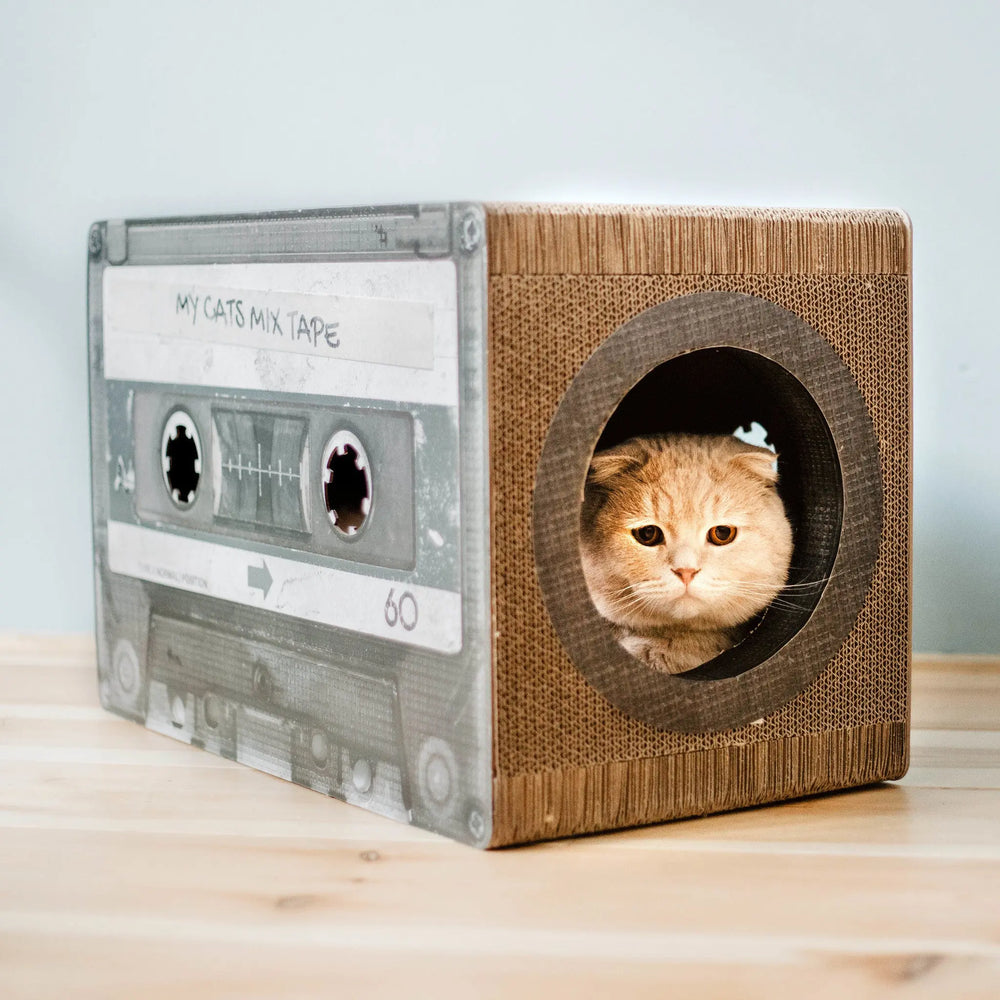 Kratzmöbel Cats Mixtape Jetzt erhältlich bei  Dogsmopolitan