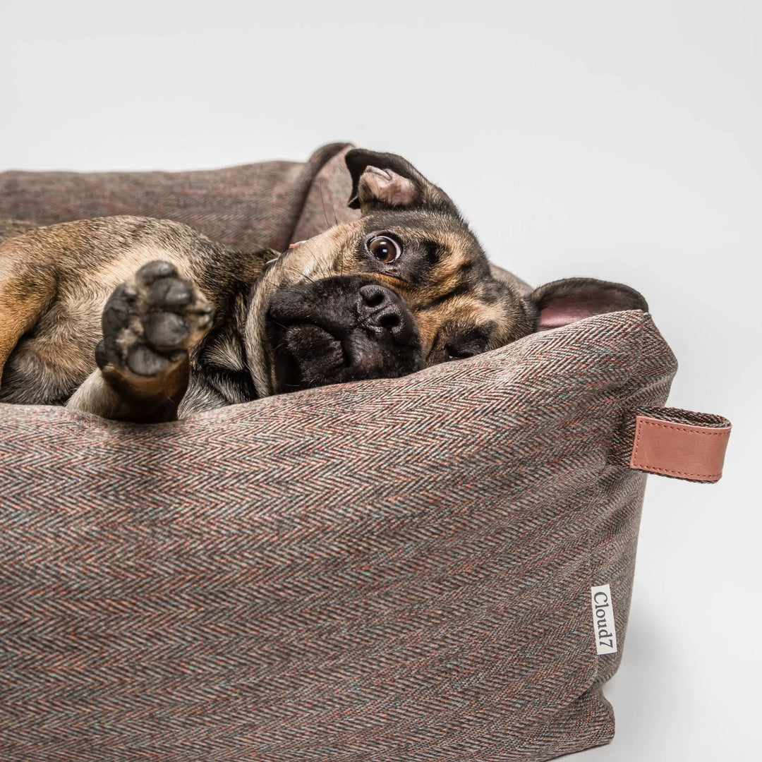 Cloud7 Hundebett Sleepy Herringbone Brown Jetzt erhältlich bei  Dogsmopolitan