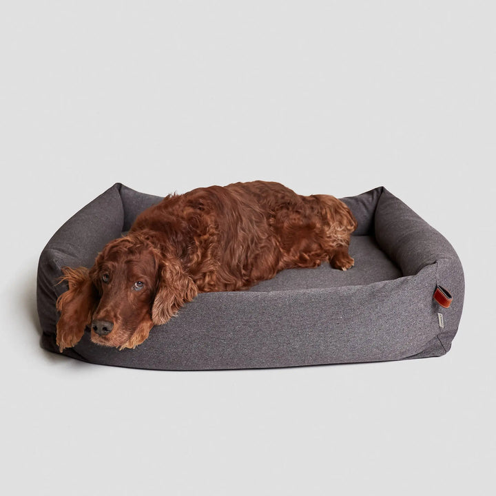 Cloud7 Hundebett Sleepy Deluxe Tweed taupe Jetzt erhältlich bei  Dogsmopolitan