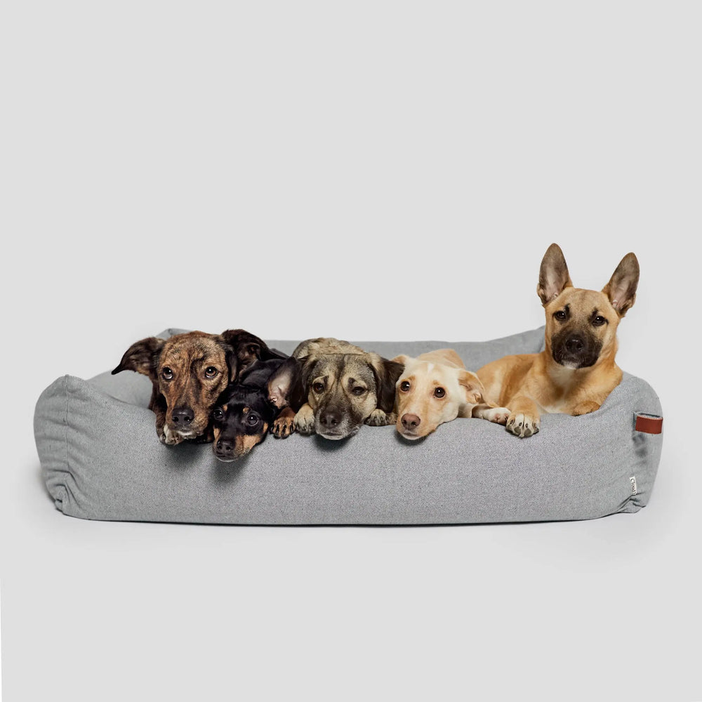 CLOUD7 HUNDEBETT SLEEPY DELUXE TWEED GREY Jetzt erhältlich bei  Dogsmopolitan