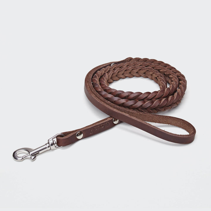 Dog leash Central Park Saddle brown