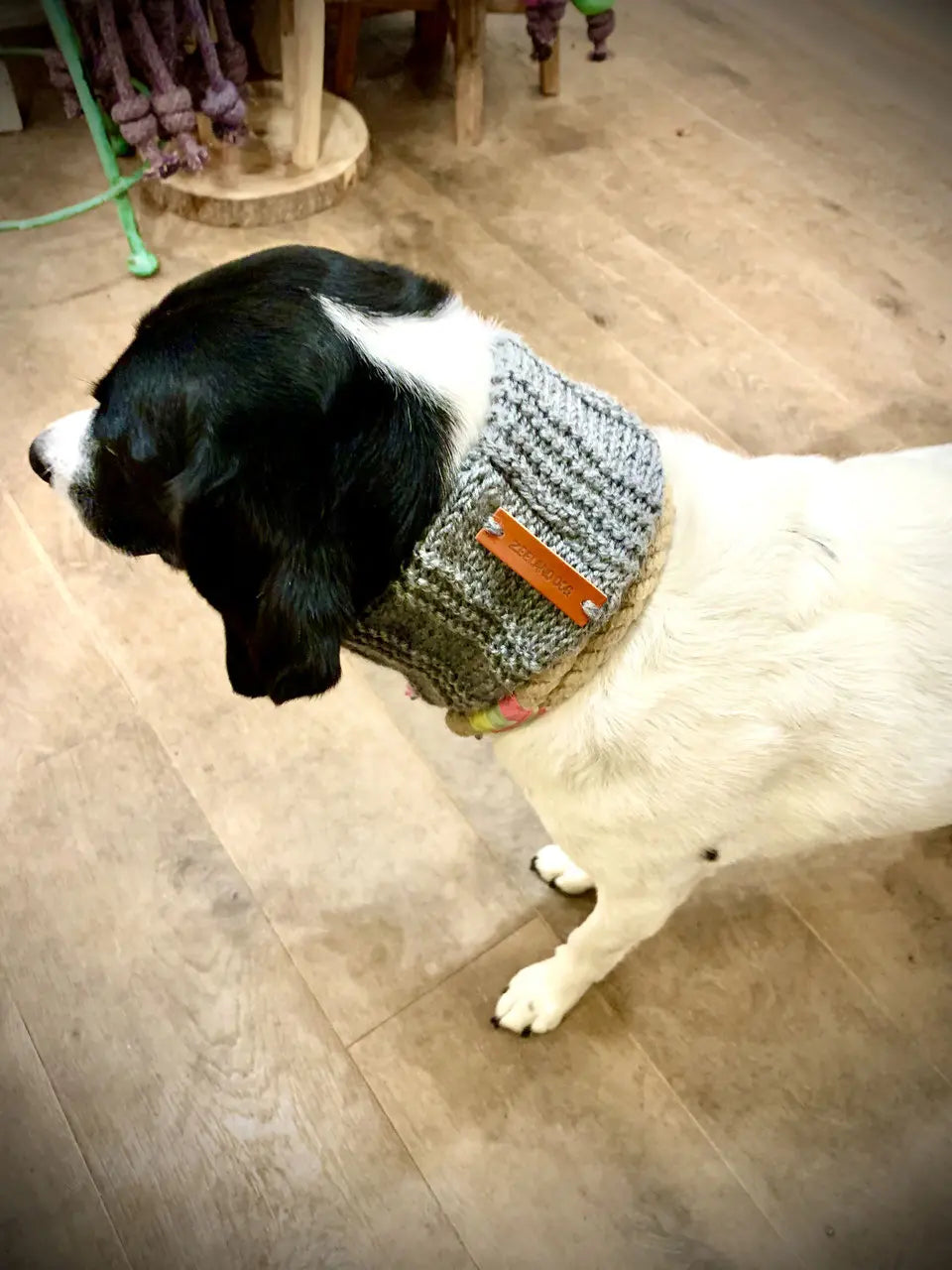 Strickloop aus weicher Wolle Jetzt erhältlich bei  Dogsmopolitan