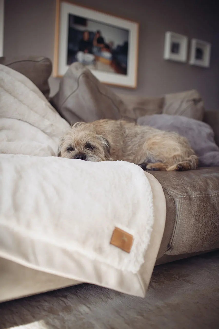 HYGGEPLAID Kuscheldecke für Hunde Ivory Jetzt erhältlich bei  Dogsmopolitan