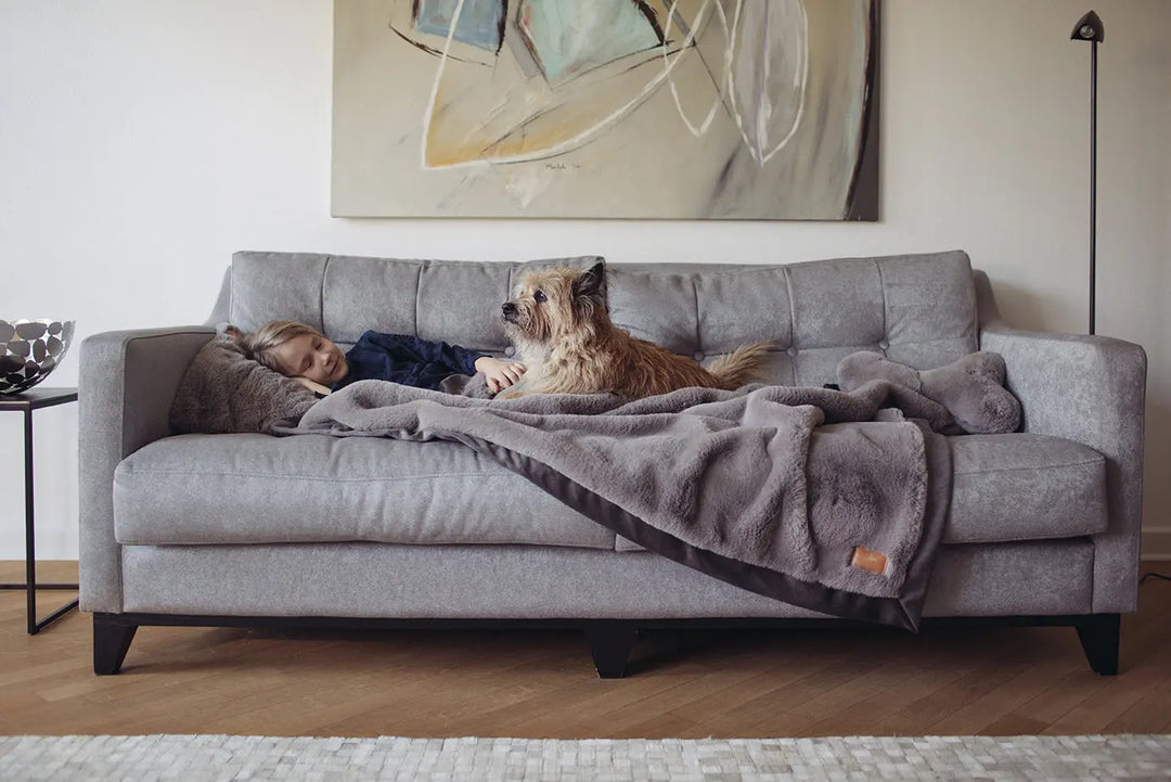 HYGGEPLAID Kuscheldecke für Hunde Maroon Jetzt erhältlich bei  Dogsmopolitan