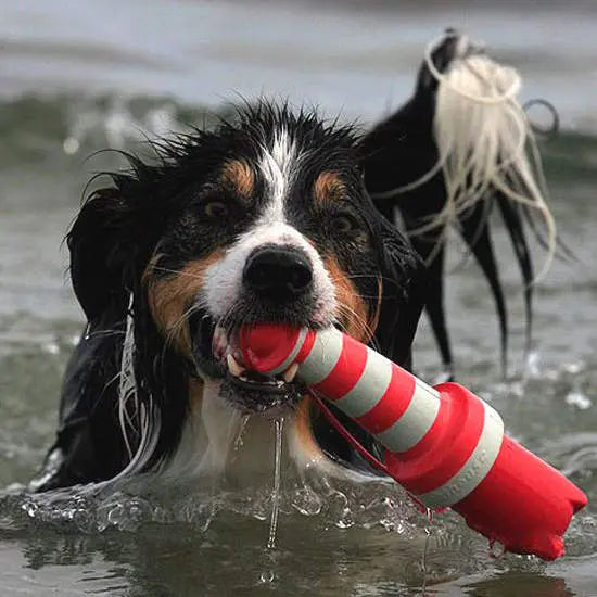 Rogz Leuchtturm - Das Ultimative Schwimmspielzeug Jetzt erhältlich bei  Dogsmopolitan