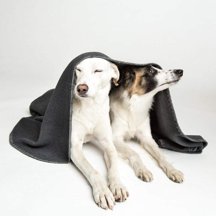 Cloud7 Fleece Dog Blanket 