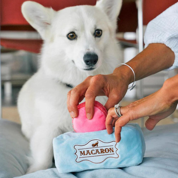 Macarons Jetzt erhältlich bei  Dogsmopolitan