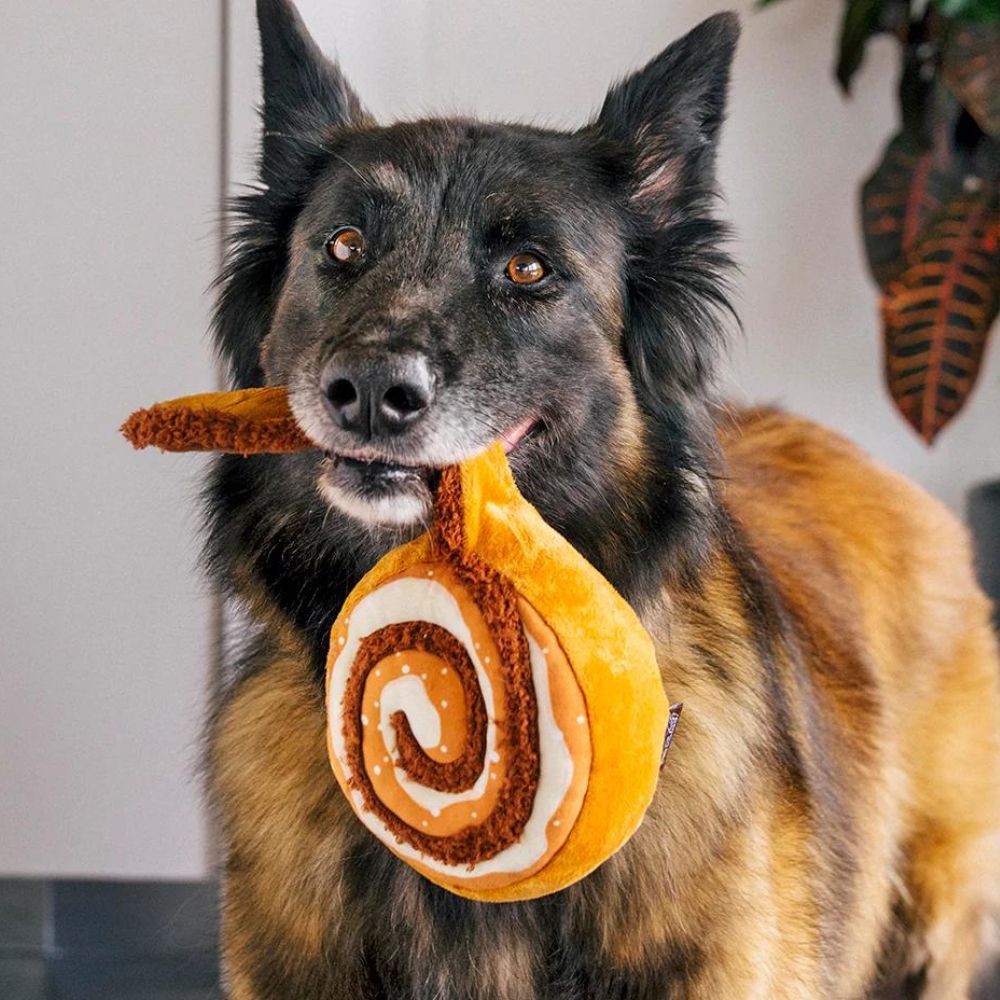 Zimtschnecke Jetzt erhältlich bei  Dogsmopolitan