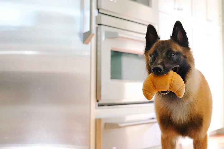 Croissant Jetzt erhältlich bei  Dogsmopolitan